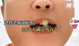 提灯房东最新爆料,房产市场风云再起